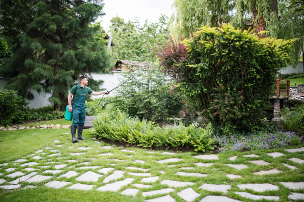 Best Mosquito Control Services  in Mentor, OH