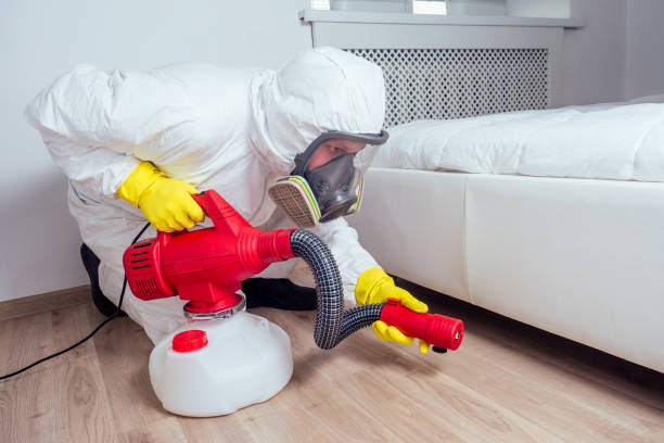 Best Termite Control Services  in Mentor, OH