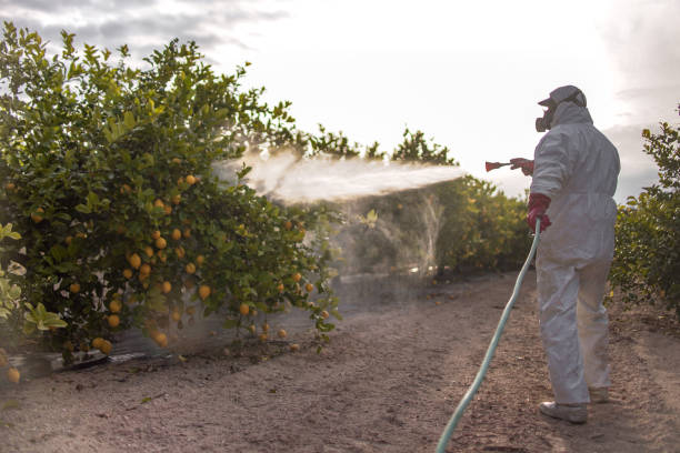 Best Emergency Pest Control  in Mentor, OH