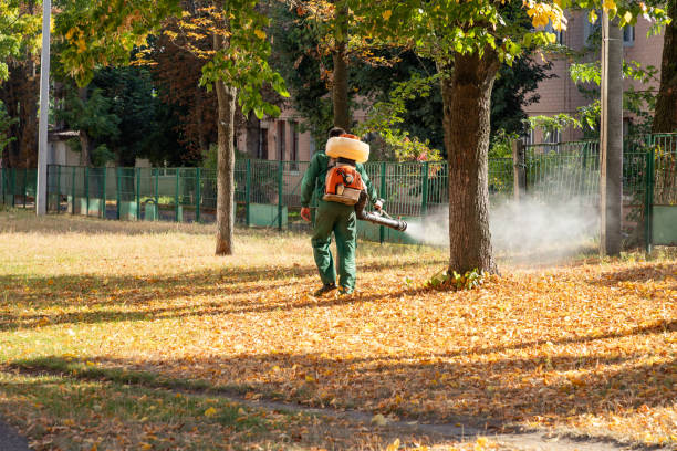 Best Commercial Pest Control Services  in Mentor, OH